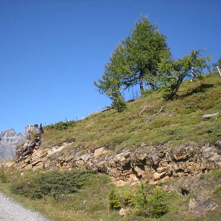 Apartment Haus Marmotta *