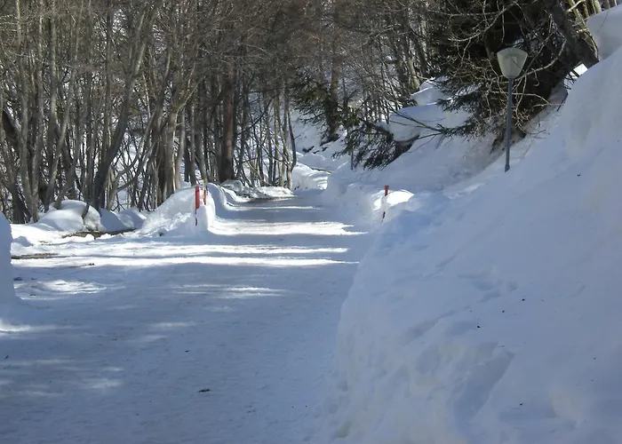 Daire Haus Marmotta *